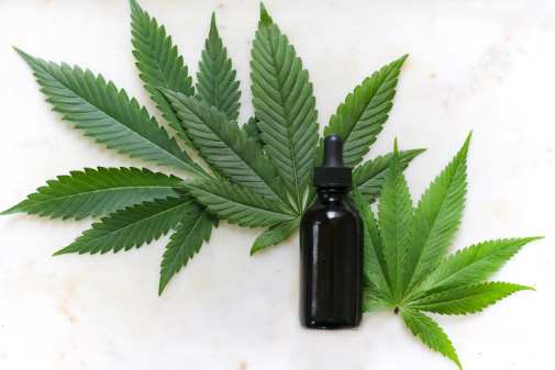 cannabis Decarboxylierung THC und cbd