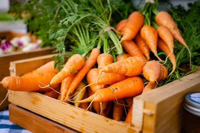 Ernährung bei Morbus Crohn