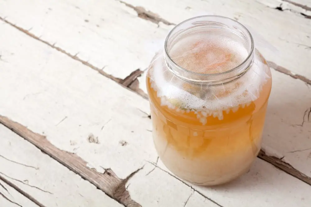 Wasserkefir Kristalle